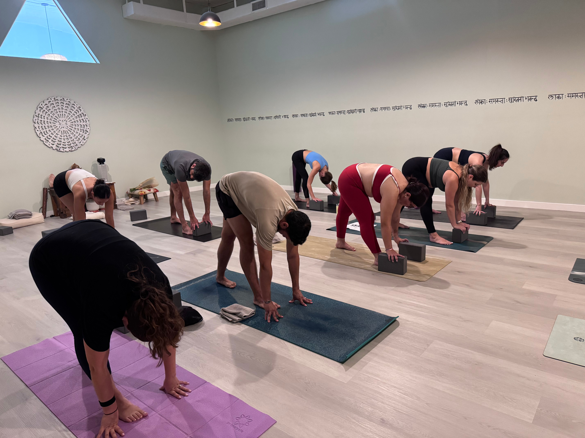 Students in a forward fold during yoga practice
